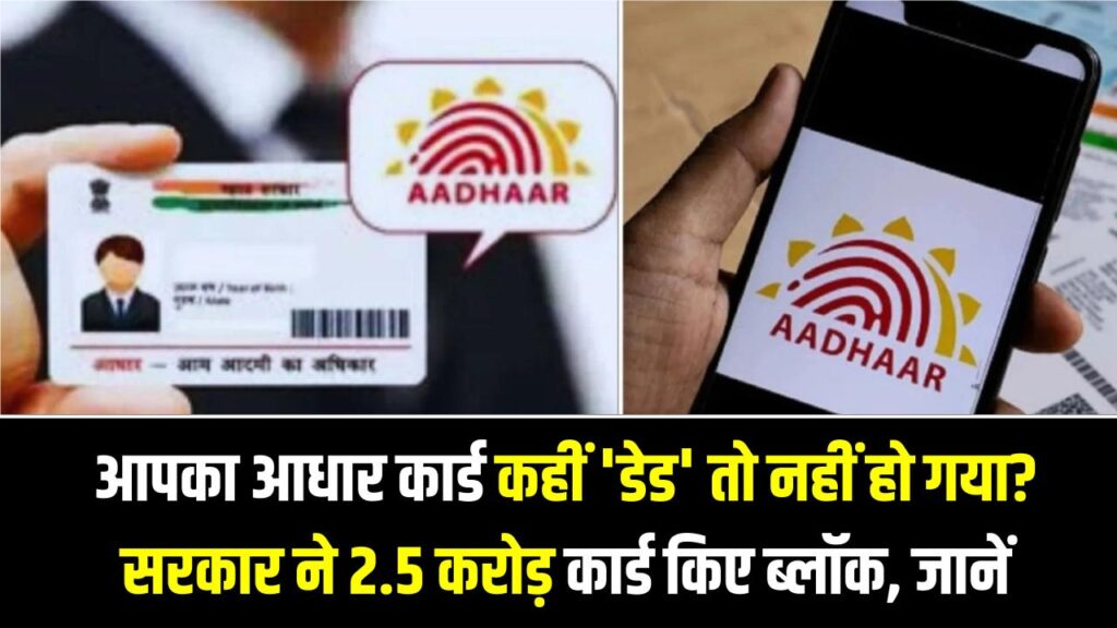 Aadhaar Status Check: आपका आधार कार्ड कहीं 'डेड' तो नहीं हो गया? सरकार ने 2.5 करोड़ कार्ड किए ब्लॉक; यहाँ जानें अपना स्टेटस।