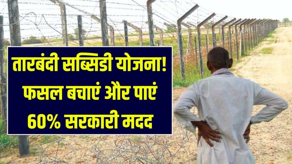 खेतों की तारबंदी के लिए सरकार दे रही है पैसा! आवारा पशुओं से फसल बचाएं और 60% सब्सिडी के लिए ऐसे भरें ऑनलाइन फॉर्म 1 खेतों की तारबंदी के लिए सरकार दे रही है पैसा! आवारा पशुओं से फसल बचाएं और 60% सब्सिडी के लिए ऐसे भरें ऑनलाइन फॉर्म