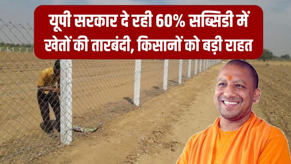 UP Tarbandi Yojana: आवारा पशुओं से फसल बचाएगी सरकार! 60% सब्सिडी पर खेतों में लगवाएं तारबंदी; यूपी के किसानों के लिए बड़ी राहत