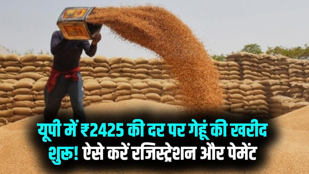 यूपी के किसानों के लिए खुशखबरी! आज से ₹2425 की दर पर शुरू हुई गेहूं की तौल; जानें ऑनलाइन रजिस्ट्रेशन और पेमेंट की पूरी प्रक्रिया