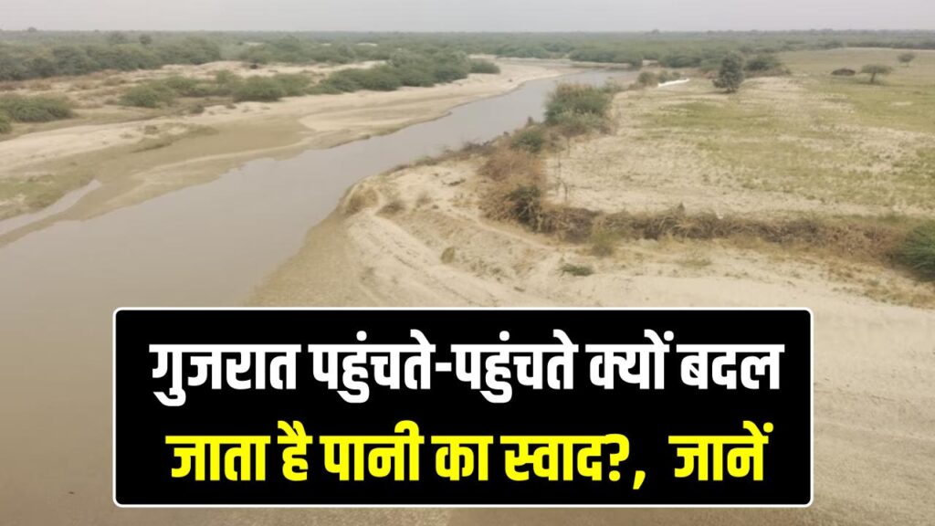 राजस्थान से निकलकर गुजरात में गायब हो जाती है यह नदी! विलीन होने से पहले क्यों खारा हो जाता है मीठा पानी?