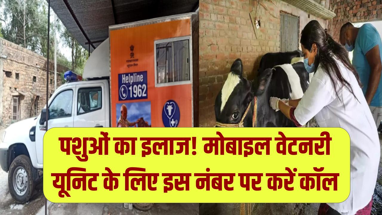 Animal Care: सिर्फ ₹2 में पशुओं का इलाज! मोबाइल वेटनरी यूनिट के लिए इस नंबर पर करें कॉल, डॉक्टर आएंगे आपके द्वार।