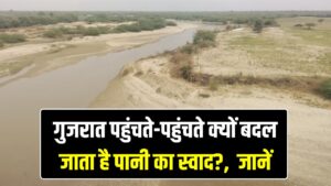 राजस्थान से निकलकर गुजरात में गायब हो जाती है यह नदी! विलीन होने से पहले क्यों खारा हो जाता है मीठा पानी?