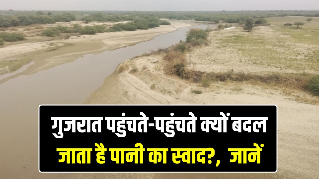 राजस्थान से निकलकर गुजरात में गायब हो जाती है यह नदी! विलीन होने से पहले क्यों खारा हो जाता है मीठा पानी?